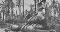 No 77 Squadron Association Los Negros Island photo gallery - Armourers at work on Momote Strip (Wings Vol3No2)